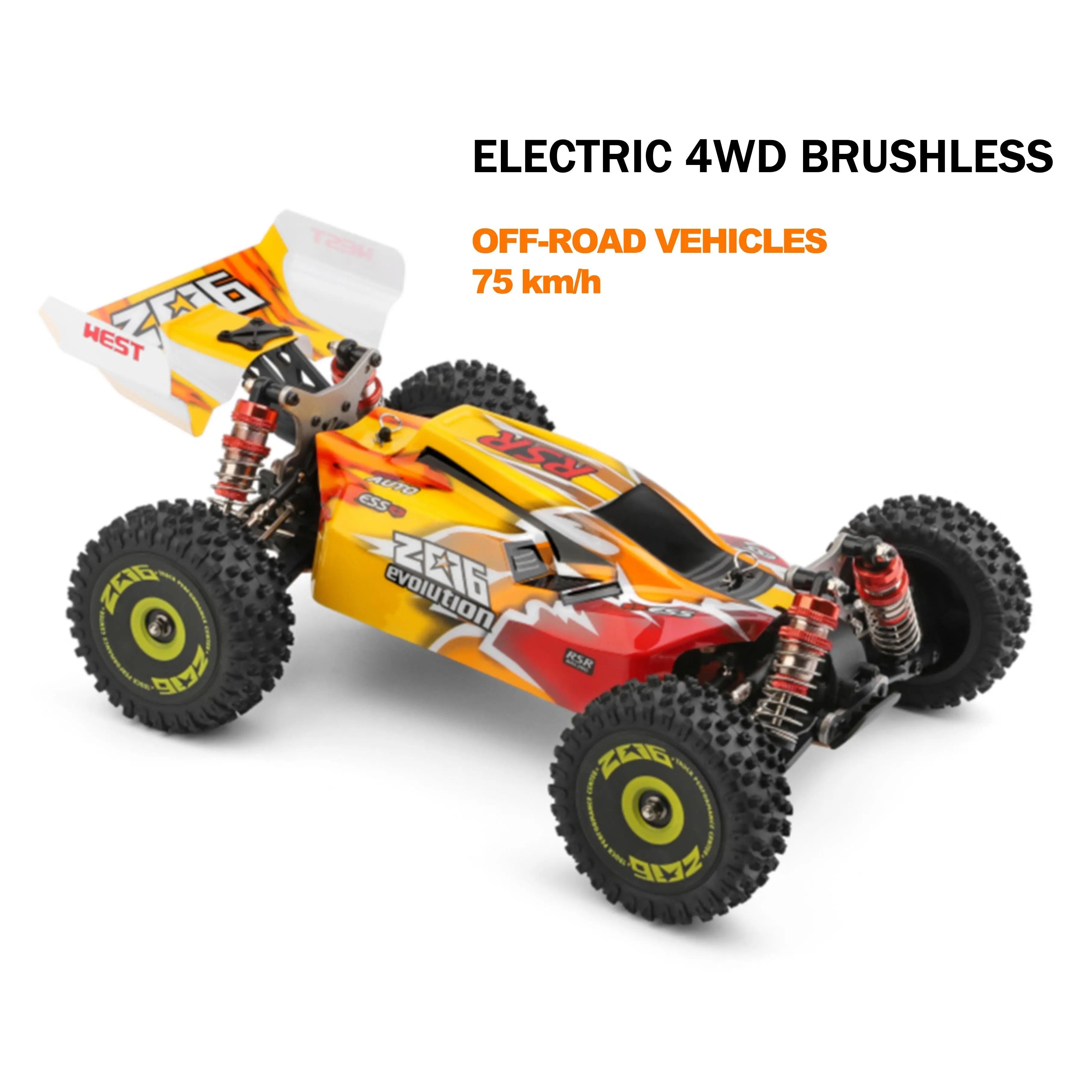 Brushless Motor Hot Racing RC Buggy Drift 1:14 4WD Car PLAYPULSE RC