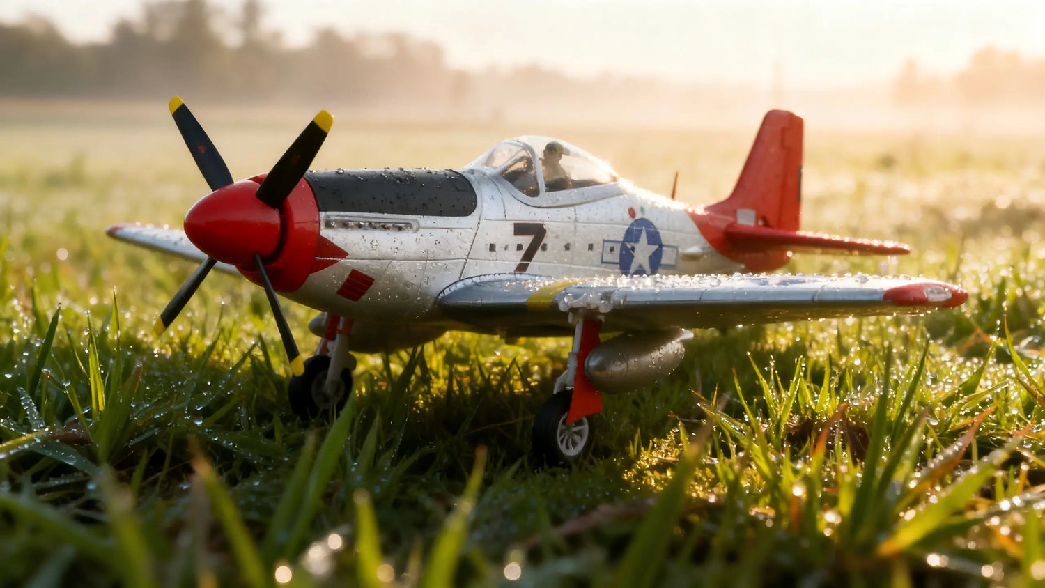 4CH 3D/6G Mode Trainer Plane with Brushless Motor